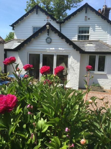 Wishing Well Cottage Wilmington  Eksteriør billede