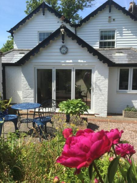 Wishing Well Cottage Wilmington  Eksteriør billede